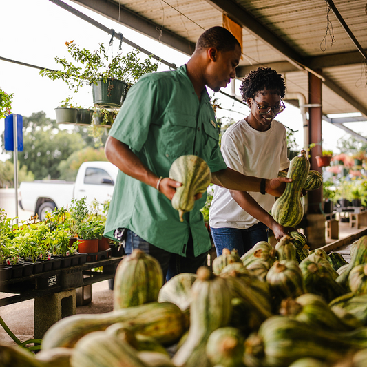 5 simple daily habits that support healthy blood sugar
