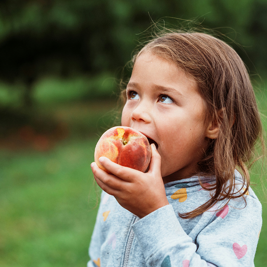 Understanding blood sugar  & what it means for your everyday life